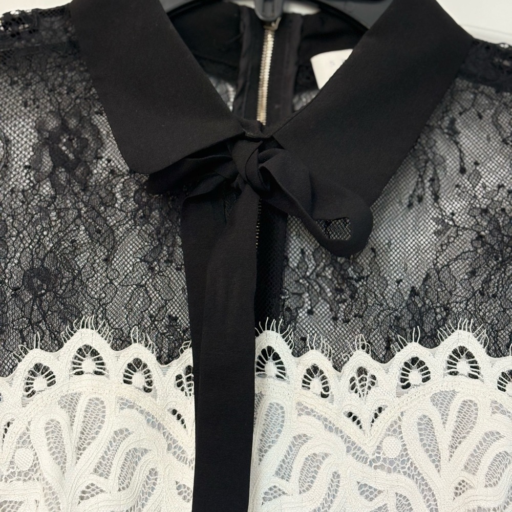 Sandro Guipure Dress - Picture 7 of 14